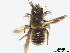 ( - BCA0909)  @11 [ ] CC-BY-NC (2021) ARTHROPOLOGIA ARTHROPOLOGIA