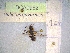  ( - BCA0952)  @11 [ ] CC-BY-NC (2022) INRAE INRAE