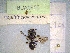 ( - BCA0955)  @11 [ ] CC-BY-NC (2022) INRAE INRAE