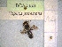  ( - BCA0959)  @11 [ ] CC-BY-NC (2022) INRAE INRAE
