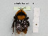  ( - BCA1003)  @11 [ ] CC-BY-NC (2022) INRAE INRAE