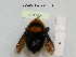  ( - BCA1004)  @11 [ ] CC-BY-NC (2022) INRAE INRAE