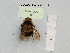  ( - BCA1005)  @11 [ ] CC-BY-NC (2022) INRAE INRAE