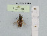 ( - BCA1069)  @11 [ ] CC-BY-NC (2022) INRAE INRAE