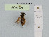  ( - BCA1070)  @11 [ ] CC-BY-NC (2022) INRAE INRAE