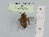  ( - BCA1073)  @11 [ ] CC-BY-NC (2022) INRAE INRAE