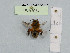  ( - BCA1074)  @11 [ ] CC-BY-NC (2022) INRAE INRAE