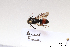  ( - BCA1381)  @11 [ ] CC-BY-NC (2022) ARTHROPOLOGIA ARTHROPOLOGIA