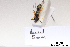  ( - BCA1383)  @11 [ ] CC-BY-NC (2022) ARTHROPOLOGIA ARTHROPOLOGIA
