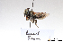  ( - BCA1396)  @11 [ ] CC-BY-NC (2022) ARTHROPOLOGIA ARTHROPOLOGIA