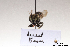  ( - BCA1396)  @11 [ ] CC-BY-NC (2022) ARTHROPOLOGIA ARTHROPOLOGIA