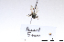  ( - BCA1399)  @11 [ ] CC-BY-NC (2022) ARTHROPOLOGIA ARTHROPOLOGIA