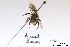  ( - BCA1404)  @11 [ ] CC-BY-NC (2022) ARTHROPOLOGIA ARTHROPOLOGIA