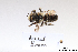  ( - BCA1404)  @11 [ ] CC-BY-NC (2022) ARTHROPOLOGIA ARTHROPOLOGIA