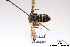  ( - BCA1406)  @11 [ ] CC-BY-NC (2022) ARTHROPOLOGIA ARTHROPOLOGIA