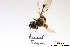  ( - BCA1406)  @11 [ ] CC-BY-NC (2022) ARTHROPOLOGIA ARTHROPOLOGIA