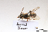  ( - BCA1408)  @11 [ ] CC-BY-NC (2022) ARTHROPOLOGIA ARTHROPOLOGIA