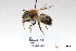  ( - BCA1412)  @11 [ ] CC-BY-NC (2022) ARTHROPOLOGIA ARTHROPOLOGIA