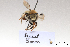  ( - BCA1412)  @11 [ ] CC-BY-NC (2022) ARTHROPOLOGIA ARTHROPOLOGIA