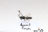  ( - BCA1417)  @11 [ ] CC-BY-NC (2022) ARTHROPOLOGIA ARTHROPOLOGIA