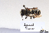  ( - BCA1448)  @11 [ ] CC-BY-NC (2022) ARTHROPOLOGIA ARTHROPOLOGIA