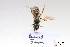  ( - BCA1452)  @11 [ ] CC-BY-NC (2022) ARTHROPOLOGIA ARTHROPOLOGIA