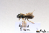  ( - BCA1452)  @11 [ ] CC-BY-NC (2022) ARTHROPOLOGIA ARTHROPOLOGIA