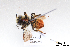  ( - BCA1455)  @11 [ ] CC-BY-NC (2022) ARTHROPOLOGIA ARTHROPOLOGIA