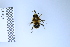  ( - BCA2303)  @11 [ ] creative common (2023) Adrien Perrard Sorbonne Universite