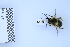  ( - BCA2373)  @11 [ ] creative common (2023) Adrien Perrard Sorbonne Universite