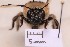  ( - BCA2187)  @11 [ ] CC-BY-NC (2023) ARTHROPOLOGIA ARTHROPOLOGIA