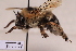  ( - BCA2187)  @11 [ ] CC-BY-NC (2023) ARTHROPOLOGIA ARTHROPOLOGIA