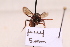  ( - BCA2191)  @11 [ ] CC-BY-NC (2023) ARTHROPOLOGIA ARTHROPOLOGIA