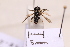  ( - BCA2190)  @11 [ ] CC-BY-NC (2023) ARTHROPOLOGIA ARTHROPOLOGIA