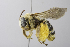  (Svastra USA02 - 14511B04-OK)  @14 [ ] Unspecified (default): All Rights Reserved  Unspecified Unspecified