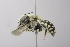  ( - 14511F06-NM)  @14 [ ] Unspecified (default): All Rights Reserved  Unspecified Unspecified