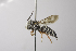  ( - 14511F07-CA)  @11 [ ] Unspecified (default): All Rights Reserved  Unspecified Unspecified