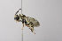  ( - 14511G09-AZ)  @11 [ ] Unspecified (default): All Rights Reserved  Unspecified Unspecified