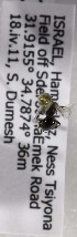  (Hylaeus affgujaraticus - CCDB-14489 A07)  @12 [ ] CreativeCommons - Attribution Non-Commercial Share-Alike (2011) Packer Collection York University York University