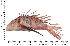  ( - COFKU22)  @11 [ ] nrr (2024) Dr. S. I. Yusufzai College of Fisheries Science, Kamdhenu University, Veraval