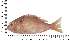  ( - COFKU26)  @11 [ ] nrr (2024) Dr. S. I. Yusufzai College of Fisheries Science, Kamdhenu University, Veraval