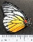  ( - NPP 1)  @13 [ ] Unspecified (default): All Rights Reserved  Unspecified Unspecified