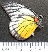  ( - NPP 3)  @12 [ ] Unspecified (default): All Rights Reserved  Unspecified Unspecified