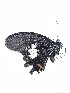  ( - mph3)  @11 [ ] Unspecified (default): All Rights Reserved  Unspecified Unspecified