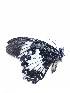  ( - mpn2)  @11 [ ] Unspecified (default): All Rights Reserved  Unspecified Unspecified