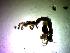  ( - UNMDP-I 015)  @12 [ ] Unspecified (default): All Rights Reserved  Unspecified Unspecified
