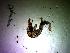  ( - UNMDP-I 019)  @12 [ ] Unspecified (default): All Rights Reserved  Unspecified Unspecified