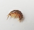  ( - UNMDP-I 029)  @11 [ ] Unspecified (default): All Rights Reserved  Unspecified Unspecified