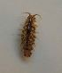  ( - UNMDP-I 179)  @11 [ ] Unspecified (default): All Rights Reserved  Unspecified Unspecified