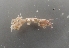  ( - UNMDP-I 007.2)  @11 [ ] Unspecified (default): All Rights Reserved  Unspecified Unspecified